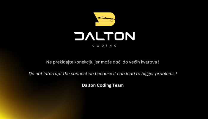 TeamViewerDaltonCoding